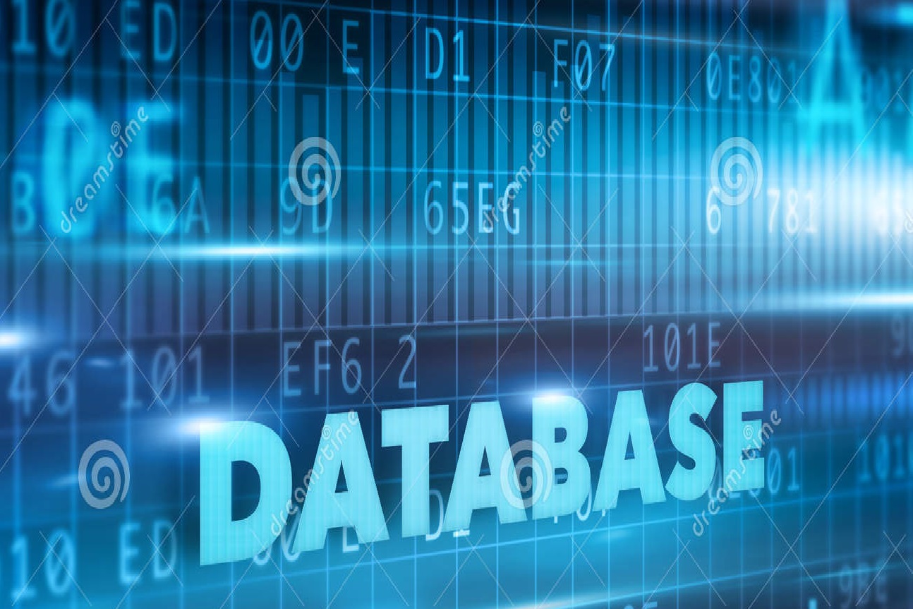Database